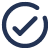 check icon